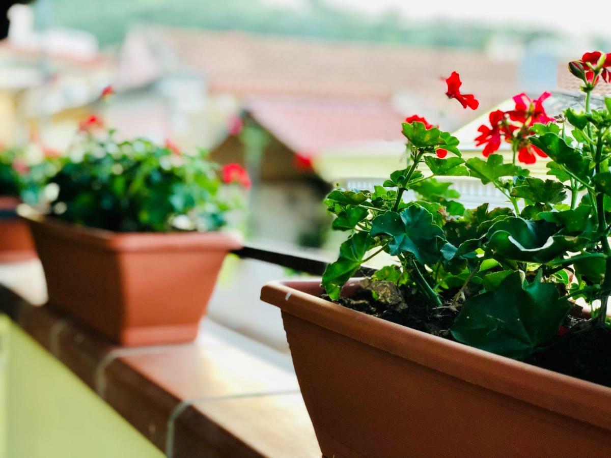 Il Terrazzino Iglesias Bed & Breakfast Luaran gambar